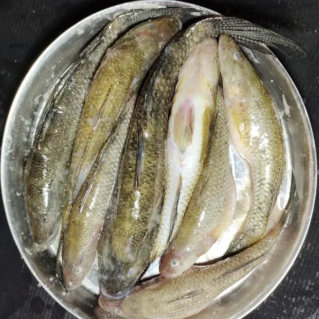 নদীর বেলে