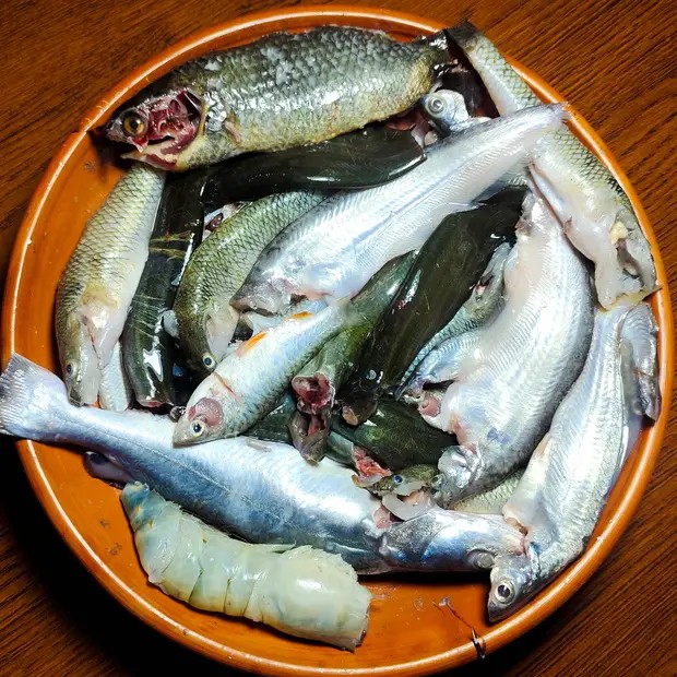 নদীর পাচমিশালি মাছ
