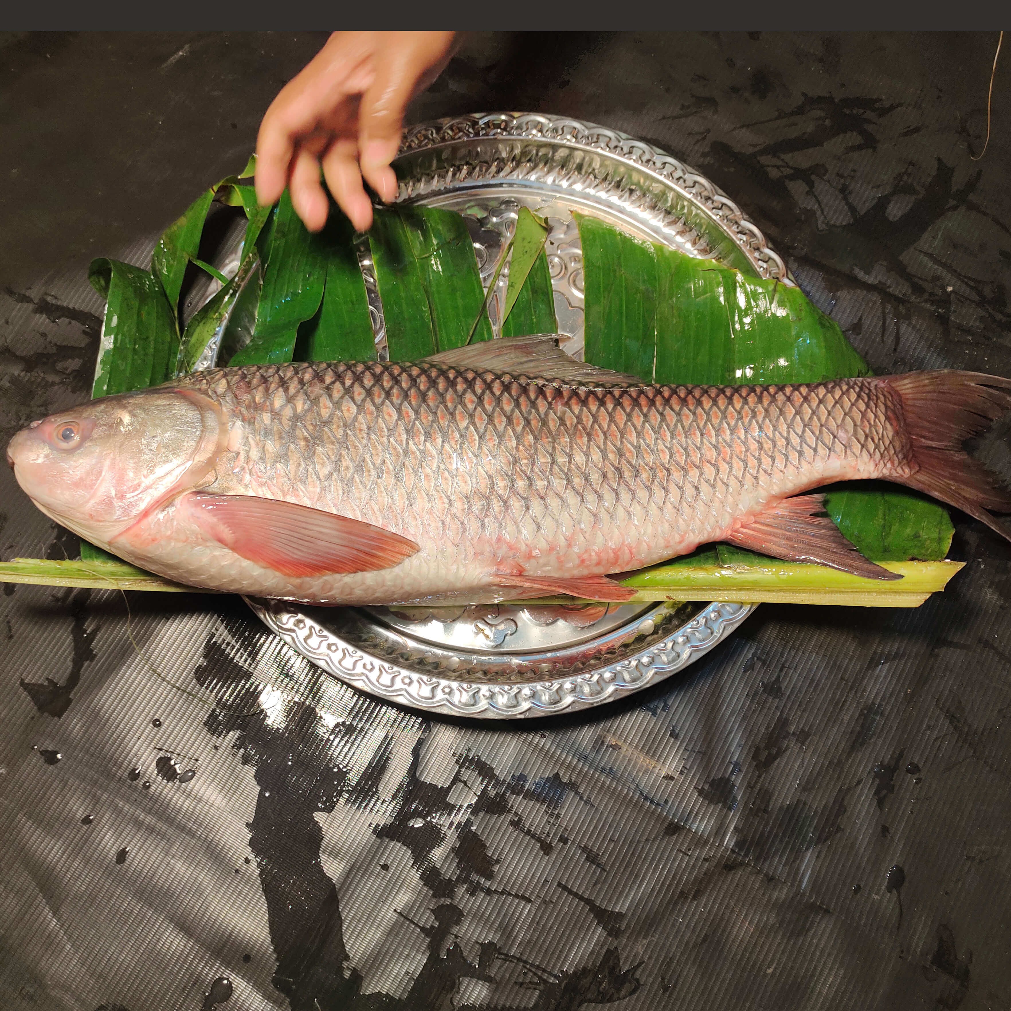 নদীর রুই মাছ আড়াই কেজি সাইজ , কেজি প্রতি মূল্য ৫২০