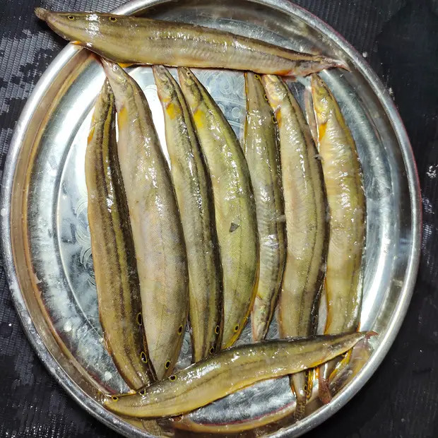 দেশী বাইম মাছ