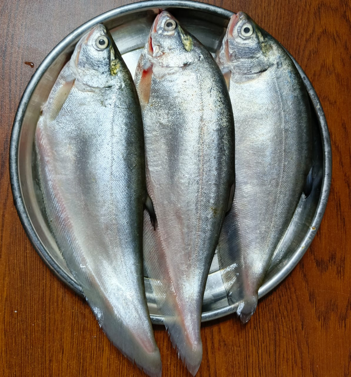 দেশি বড় ফলি মাছ (৪-৬) পিচ