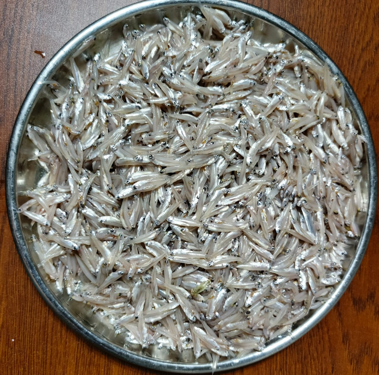 মেঘনার কাচকি  মাছ