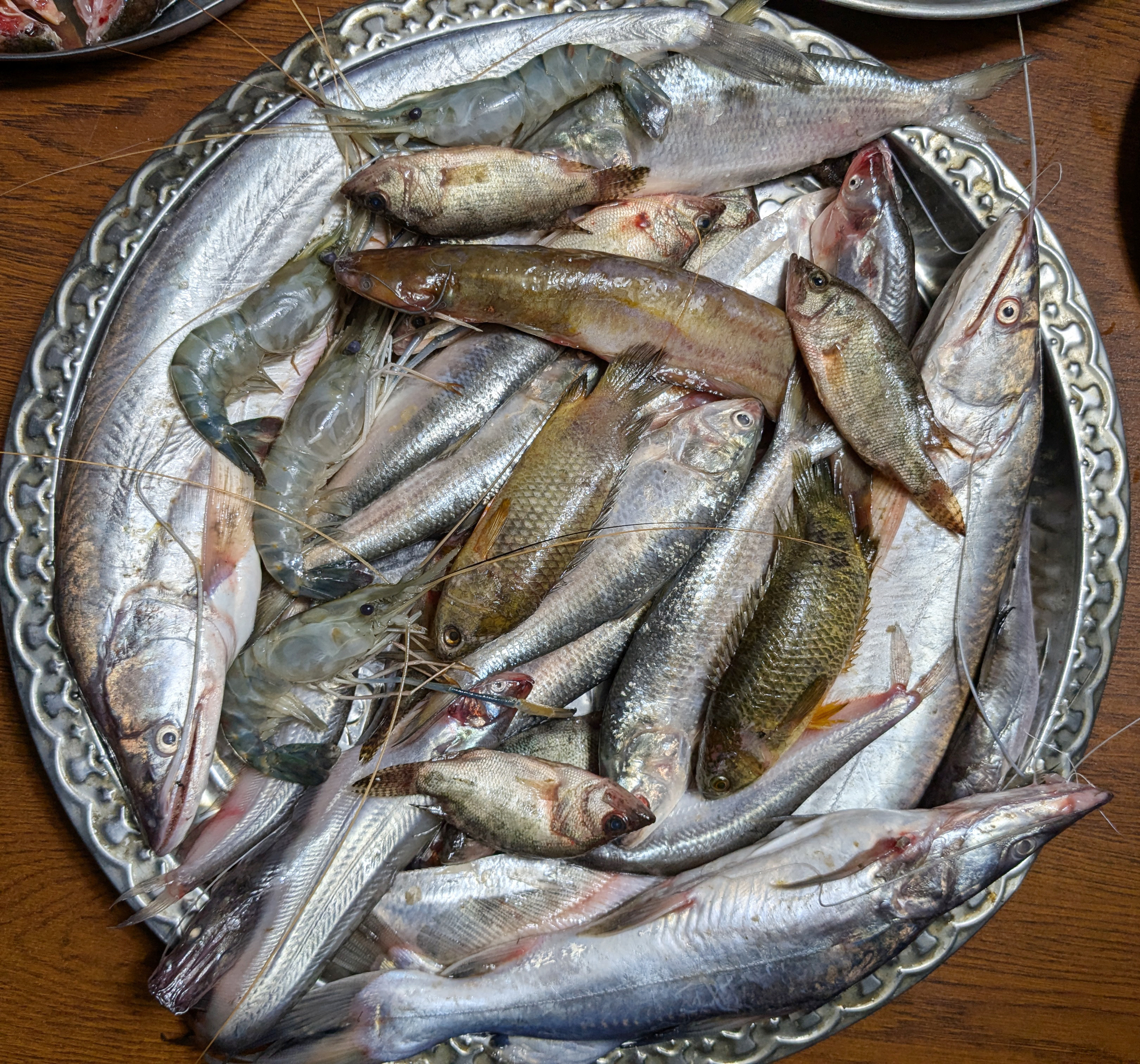 নদীর প্রিমিয়াম পাচঁমিশালী ( বড় সাইজ )