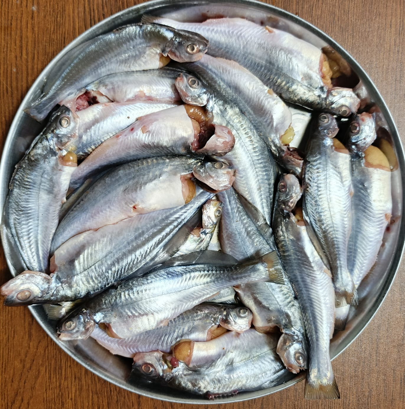 নদীর গুলশা বড় সাইজ ( ৫০০ গ্রাম ) কেজি প্রতি মূল্য -৫৪০