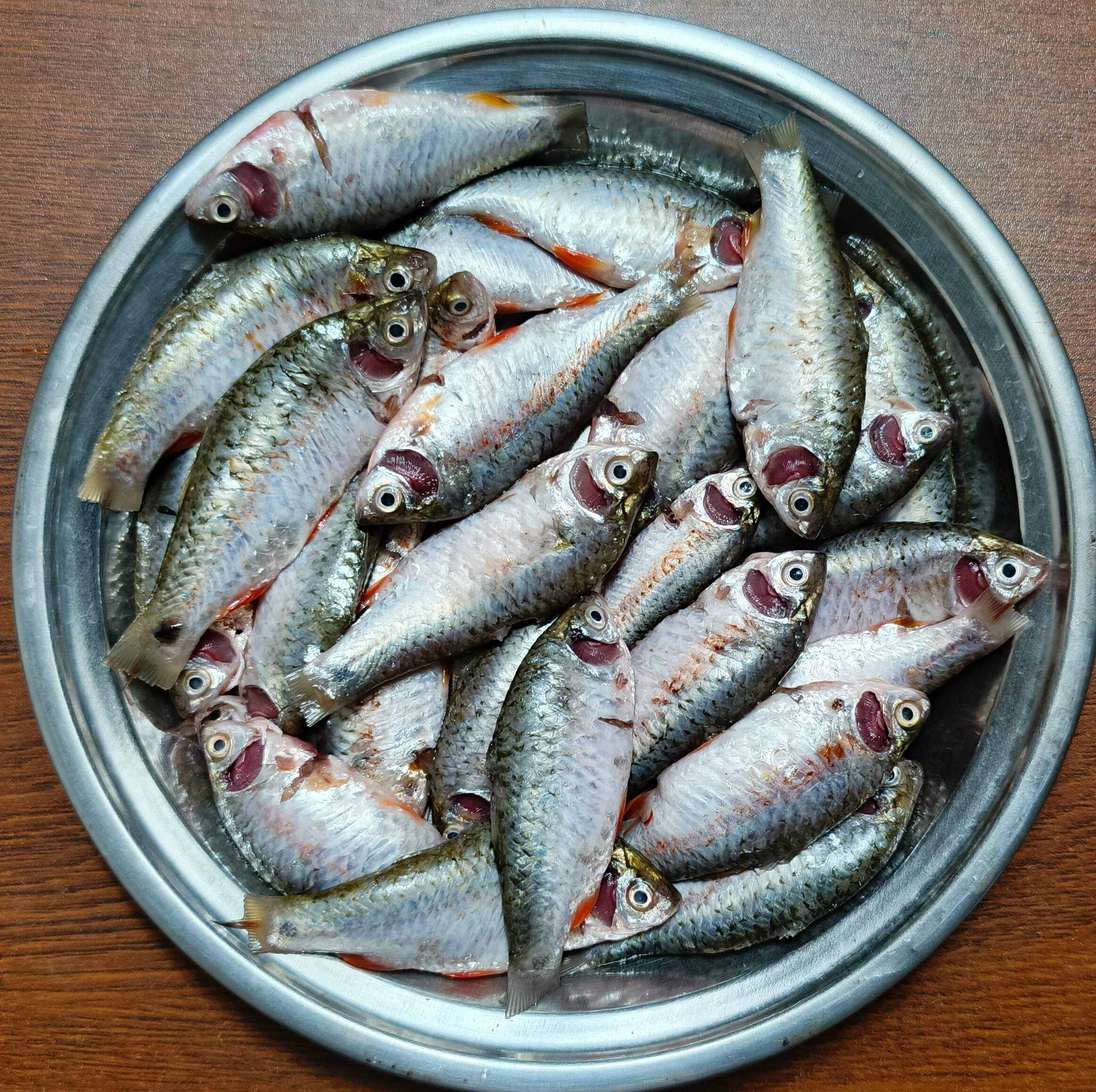 দেশি পুঁটি  মাছ (তিত পুঁটি মাছ ).